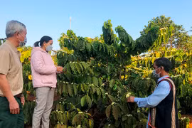 Đổi thay ở xã căn cứ cách mạng Đak Sơ Mei