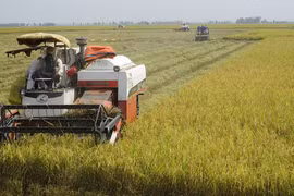 Nông nghiệp tự cường, bao giờ?