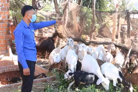 "Thủ lĩnh" thanh niên làm kinh tế giỏi