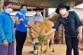 Phường Chi Lăng hỗ trợ sinh kế cho phụ nữ