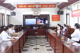 Phát động hưởng ứng Ngày nước, Ngày Khí tượng thế giới, Chiến dịch Giờ Trái đất