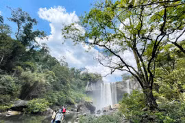 Doanh nghiệp lữ hành Hà Nội khảo sát du lịch tại Gia Lai