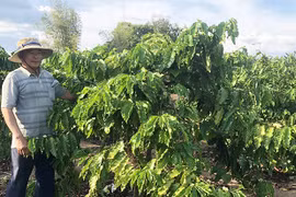 Bí thư chi bộ "nói đi đôi với làm"