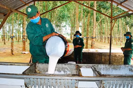 Từ 1-4, Nghị quyết về số giờ làm thêm trong bối cảnh phòng-chống dịch Covid-19 có hiệu lực