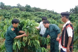 Binh đoàn 15: Chỗ dựa tin cậy của người dân vùng biên