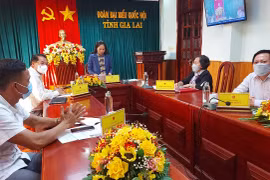 Đại biểu Quốc hội tỉnh Gia Lai chất vấn việc đứt gãy trong chuỗi cung ứng hàng hóa