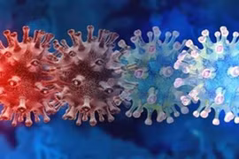 Đã nhiễm Covid-19 đừng chủ quan: 2/3 người nhiễm Omicron hiện nay là tái nhiễm