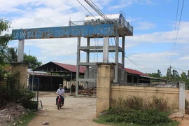 Gia súc, gia cầm giết mổ tập trung: Chính quyền địa phương vào cuộc