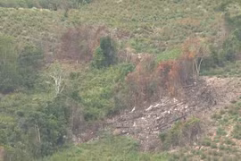 Bộ NN và PTNT,Bộ VH-TT và DL trả lời KN của cử tri Gia Lai