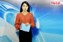 Gia Lai 48h: Nhiều lâm tặc chống người thi hành công vụ