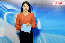 Gia Lai 48h: Nhiều lâm tặc chống người thi hành công vụ