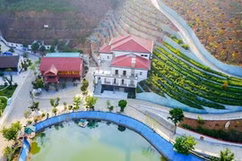 Phòng ngừa tham nhũng- Đảng viên ở đâu?