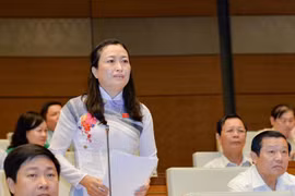 Cả nước còn hàng trăm nghìn hộ ĐB DTTS cần hỗ trợ đất ở,đất SX