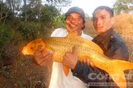 Săn cá khủng, hiếm và "vật thể lạ" ở Biển Hồ