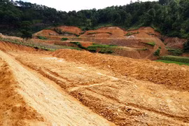 Ngang nhiên san ủi hàng chục ngàn mét vuông đất lâm nghiệp