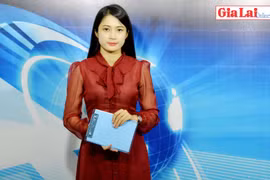 Gia Lai 48h: Chấn chỉnh công tác quản lý, đăng kiểm xe cơ giới