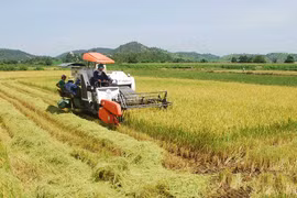 Tiếp tục phát huy tinh thần năng động, sáng tạo của nông dân