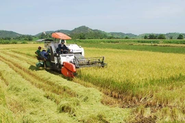 Tiếp tục phát huy tinh thần năng động, sáng tạo của nông dân