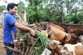 Dân vận khéo: Rơ Chăm Klunh "Nói đi đôi với làm"