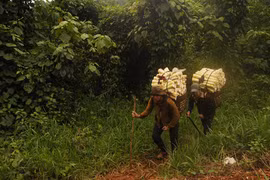 Con đèo, măng le và bóng em hun hút