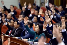 Cách chức Uỷ viên Trung ương Đảng khoá XI đối với ông Nguyễn Bắc Son