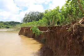 Lâm Đồng: Tàu cát vừa hoạt động lại, sông Đồng Nai lập tức sạt lở