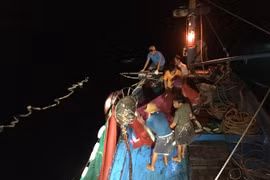 Chong đèn dụ cá