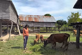 Ia Hiao: Xóa bỏ hủ tục, vươn lên làm giàu