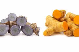 Nghệ đen hay nghệ vàng tốt hơn?