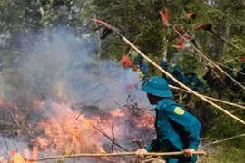 Đak Pơ: Diễn tập chữa cháy rừng