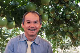 Khoản tiền "đi lạc" giúp công ty bầu Đức báo lãi lớn