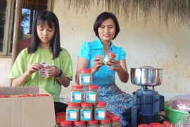 Nhiều đặc sản sẽ giới thiệu trong lễ hội hoa dã quỳ