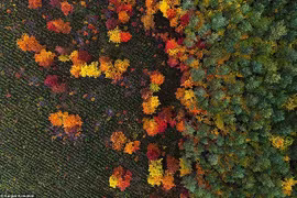 Vẻ đẹp kỳ ảo của Trái đất khi nhìn từ trên cao