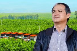 'Con át chủ bài' của bầu Đức bất ngờ báo lỗ sau khi được cứu