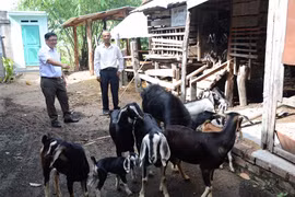 Ia Pa làm tốt công tác dân vận từ cơ sở