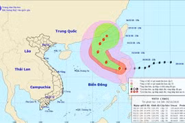 Bão số 7 gây mưa, gió giật cấp 14, biển động dữ dội