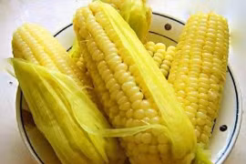 Bắp non đầu mùa