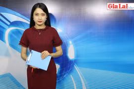 UBND tỉnh đề nghị xử lý cá nhân, tập thể để mất rừng