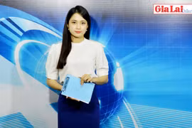 Gia Lai 48h: Tập trung khắc phục tồn tại, hạn chế trong CCHC