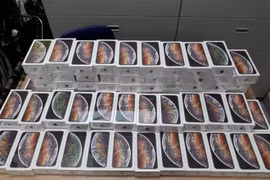 Phát hiện lô hàng gần 1.200 iPhone không khai hàng hóa nhập khẩu