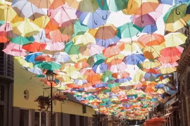 Những con đường mang vẻ đẹp lãng mạn, quyến rũ