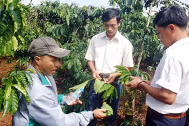 Cần 1,4 triệu lao động cho 15.000 hợp tác xã