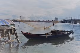 Những giàn rớ bỗng nhiên nổi tiếng