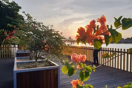 Cận cảnh đường đi bộ 64 tỉ đồng bằng gỗ lim dọc sông Hương