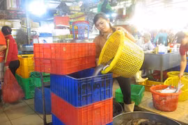 Những 'thân cò' nơi chợ cá