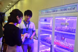 Sáng tạo trẻ: Tủ trồng rau thông minh