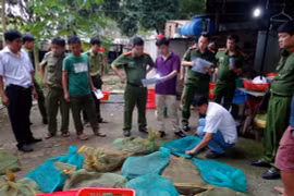 Tận diệt chim, thú hoang dã: Mạnh tay với nạn săn bắt, tiêu thụ