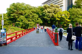 Cây cầu đi bộ hút khách ngắm cảnh ở Nhật Bản