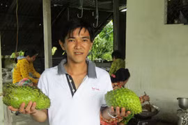 Đưa trà mãng cầu đến xứ người