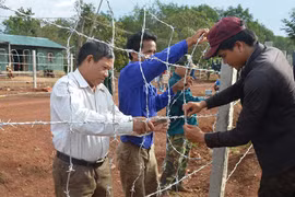 Siu Bình - Già làng uy tín